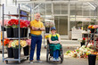 © Stocksy - Happy Florists By Gerbera Daisy Pots On Racks In Greenhouse
