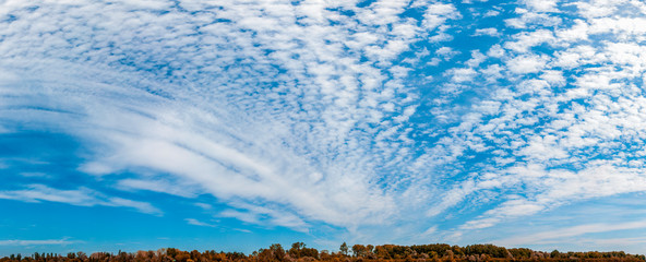 Wall Mural - beautiful white clouds as they spread as wings