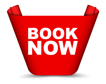 red vector banner book now