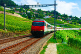 Fototapeta  - Train and railroad at Vineyard Terraces Lavaux