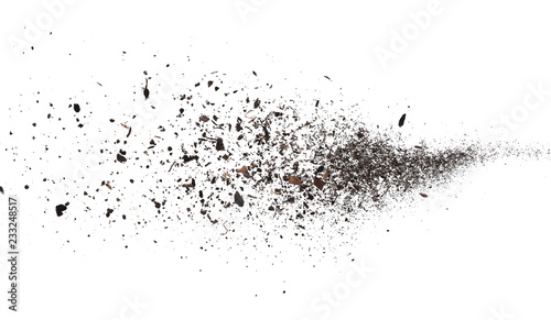 Cuadros en Lienzo pile dust dirt isolated on white background, with clipping path
