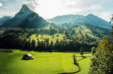 Sticker - Berner Alpen, Schweiz, Kiental mit Wiesen, Wald und Bergen