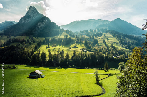 Fotografie, Obraz Berner Alpen, Schweiz, Kiental mit Wiesen, Wald und Bergen