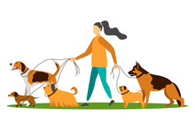 Young Woman Walking With Five Dogs.