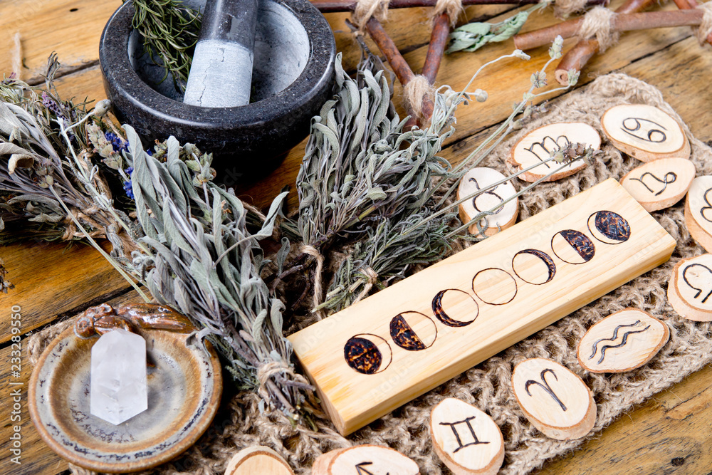 Moon Phases and astrological symbols with herb witch mortar and pestle - obrazy, fototapety, plakaty 