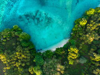 Canvas Print - Aerial top down view tropical paradise pristine beach rainforest blue lagoon at Banda Island, Pulau Ay. Indonesia Moluccas archipelago, top travel destination, best diving snorkeling.