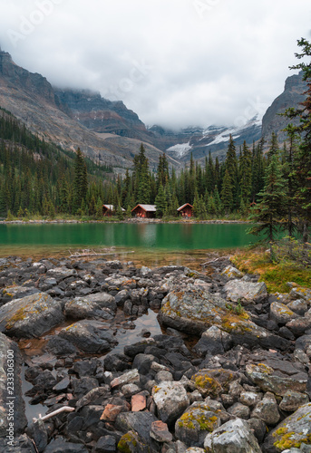 Rocks And Logs In The Clear Alpine Water Of Lake O Hara High In