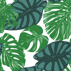  Seamless Hand Drawn Botanical Exotic Pattern with Philodendron and Alocasia Leaves. Vector Jungle Foliage in Watercolor Style. Seamless Tropic Leaf Background for Textile, Cloth, Fabric, Paper.