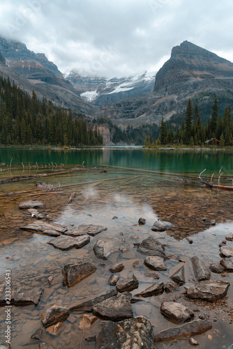 Rocks And Logs In The Clear Alpine Water Of Lake O Hara High In