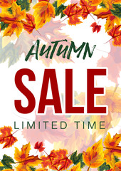 Wall Mural - Vivid vector design of banner with red word Sale among colorful autumnal leaves on white background