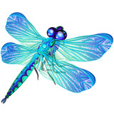 Fototapeta Motyle - blue dragonfly