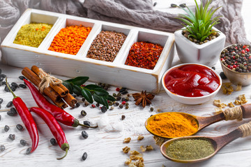 Spices and condiments for food