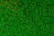 Artificial green moss wall for garden decor. Moss Background Texture
