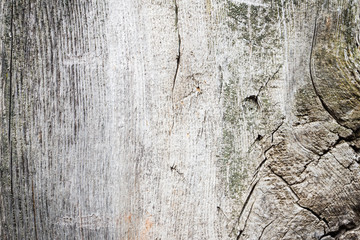 Old wooden texture background