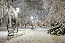 Park At Night Covered With Fresh Snow. City At Night.