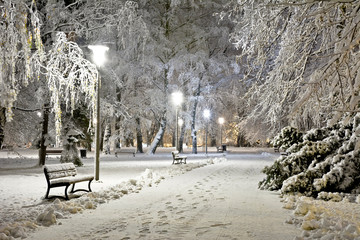 Park at night covered with fresh snow. City at night.