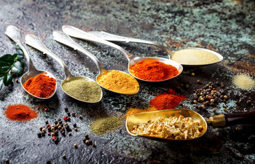 Spices and condiments for food