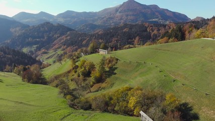 Wall Mural - Beautiful and vibrant green countryside in Slovenia	at autumn.  4K aerial drone footage.