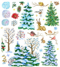 Design Set With Fir Trees, Decorated Conifers, Poinsettia, Pine Cones, Nature Christmas Elements. Hand Painted Winter Watercolor Clip Art Illustrations Isolated On White Background