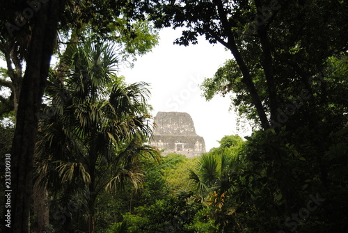 Plakat Miasto Tikal