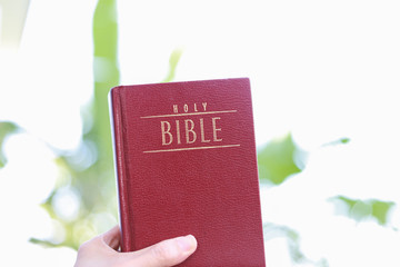 Wall Mural - A girl is holding the bible book.