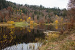 Nonnenmattweiher in souther part from black forest germany beautiful lake in a nature reserve