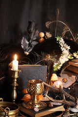 Wall Mural - Black candle Magic Ritual. Antique Magic Book. Witchcraft  Peacock feathers and candle background.