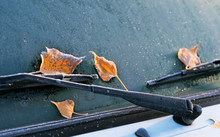 Yellow Leaves And   Hoarfrost  On The Windshield Of The Car, Autumn Frosts.