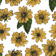 Yellow flowers on white background seamless pattern. Blooming sunflower with leaves floral pattern.