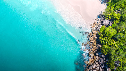 Poster - Tropical beach with sea and palm taken from drone. Seychelles famous shark beach - aerial photo