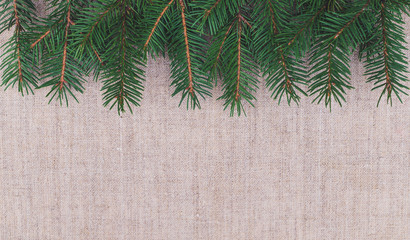 Wall Mural - Fresh green branches of pine needles against the background of linen. Winter background