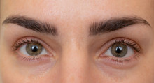 Macro Shot Of Woman's Eye With Transparent Makeup. Expressive Look. Sight.