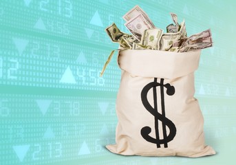 Wall Mural - Money in the bag isolated on background