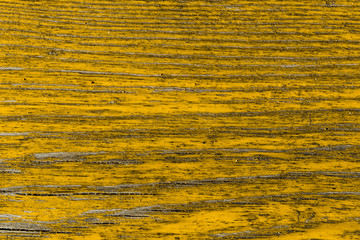 yellow background. peeling paint on an old wooden floor