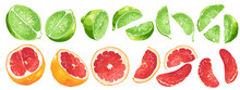Set With Fruits And Fruit Parts Of Grapefruit And Lime In Vector