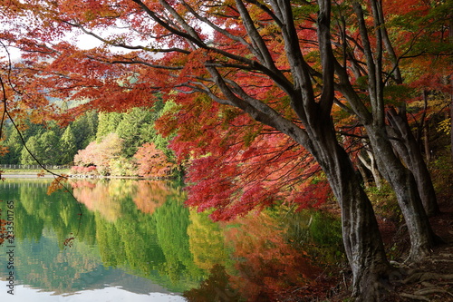 秋の公園 伊奈ヶ湖 秋 南伊奈ヶ湖 北伊奈ヶ湖 南アルプス 湖 Foto De Stock Adobe Stock
