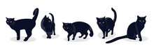 Black Cat In Different Poses, Isolated On White Background. Set Of Silhouettes Of A Black Cat