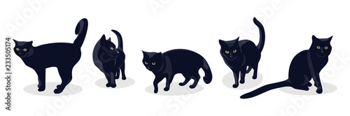 Cuadros en Lienzo Black cat in different poses, isolated on white background