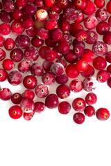 Poster - frozen cranberries isolated