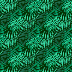 Wall Mural - Leaves of palm tree. Seamless pattern.