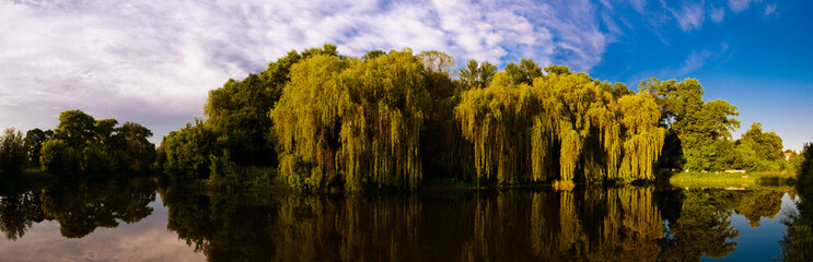 nature park water sky wooden