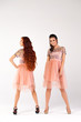 © Andrey_Arkusha - Two sexy models. Full length of a beautiful women in pink dress