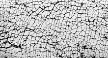 Old Cracked White Leather Texture Background