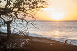 Fototapeta Na ścianę - Lever de soleil sur les caraibes
