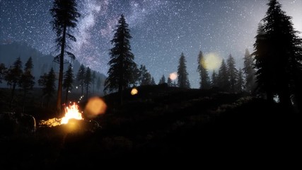 campfire at mountain rorest at night