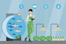 Asian Woman Farmer With Digital Tablet. Growing Plants In The Greenhouse With Aquaponics System. Vector Illustration.