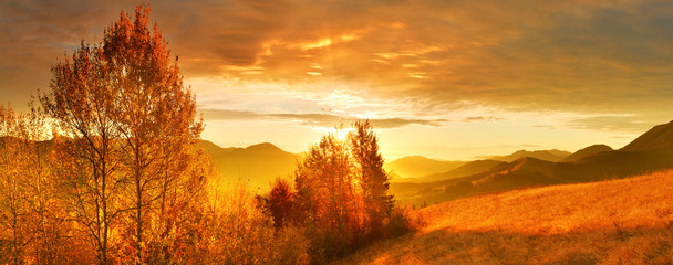 Wall Mural - Autumn morning in highland