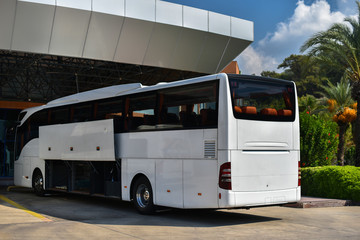 Wall Mural - white tourist coach with open trunk of doors on modern bus station in tropics