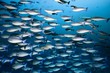 © imageBROKER - Swarm blue unicorn (Naso caeruleacauda) swimming in the open sea, Great Barrier Reef, Pacific, Australia, Oceania