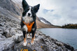 Dog Posing by Mountain Lake